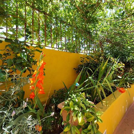 Casa Maestro Lelo - Acogedora Casa Rural Canaria Con Patios Y Jardines De Flores Λας Πάλμας ντε Γκραν Κανάρια Εξωτερικό φωτογραφία