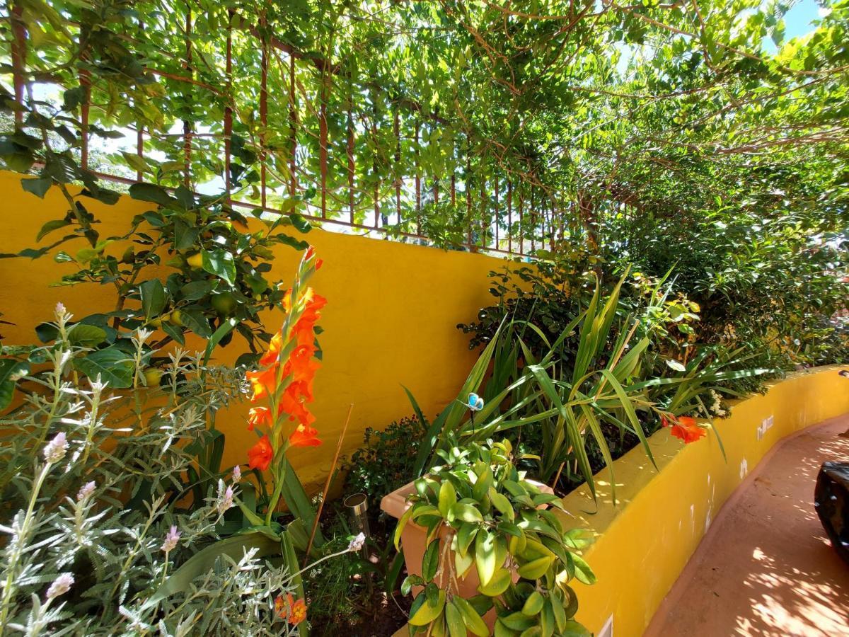 Casa Maestro Lelo - Acogedora Casa Rural Canaria Con Patios Y Jardines De Flores Λας Πάλμας ντε Γκραν Κανάρια Εξωτερικό φωτογραφία